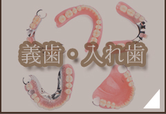 義歯・入れ歯
